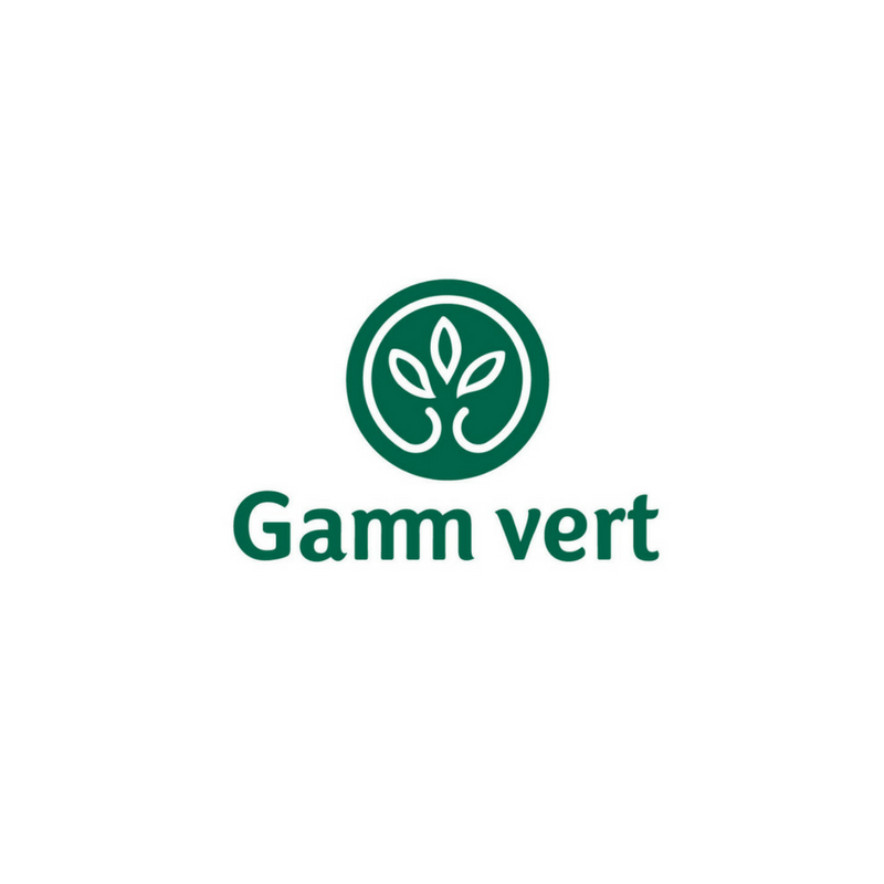GammVert - Client KSI Partners