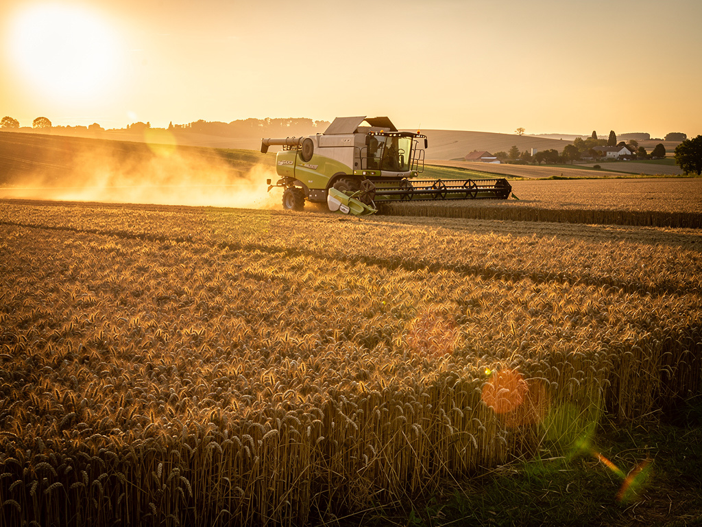 Conseil en stratégie pour le secteur agroalimentaire et agriculture